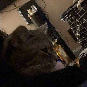 Meet your Posher, Ashlynn